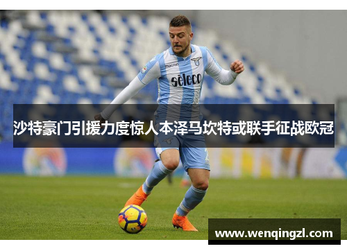 沙特豪门引援力度惊人本泽马坎特或联手征战欧冠